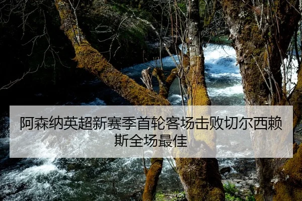 阿森纳英超新赛季首轮客场击败切尔西赖斯全场最佳